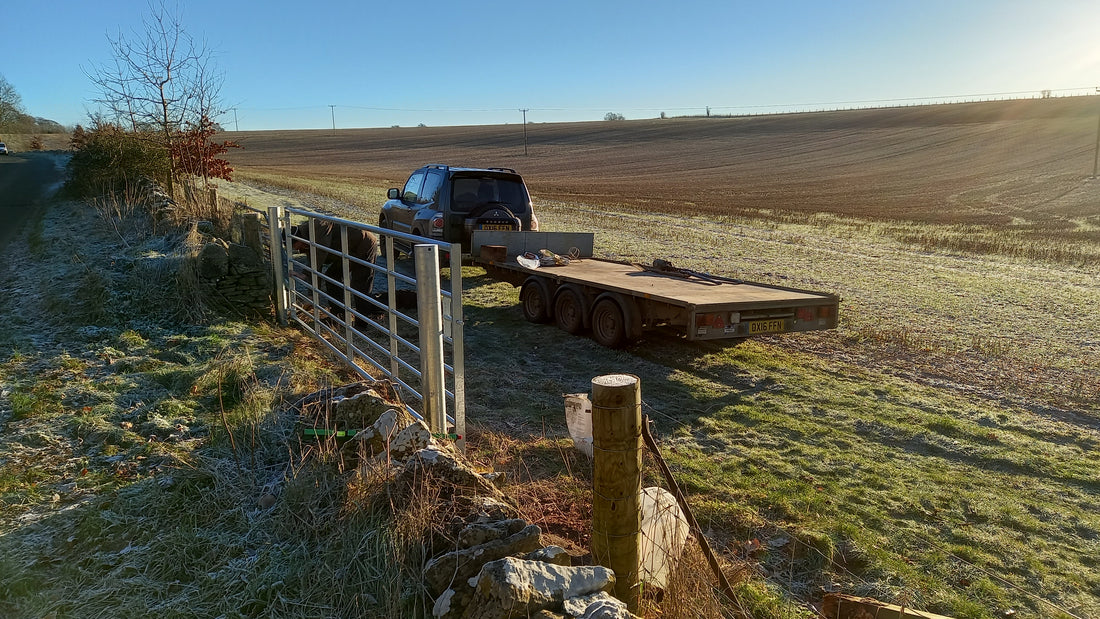 Winter Work on the Farm