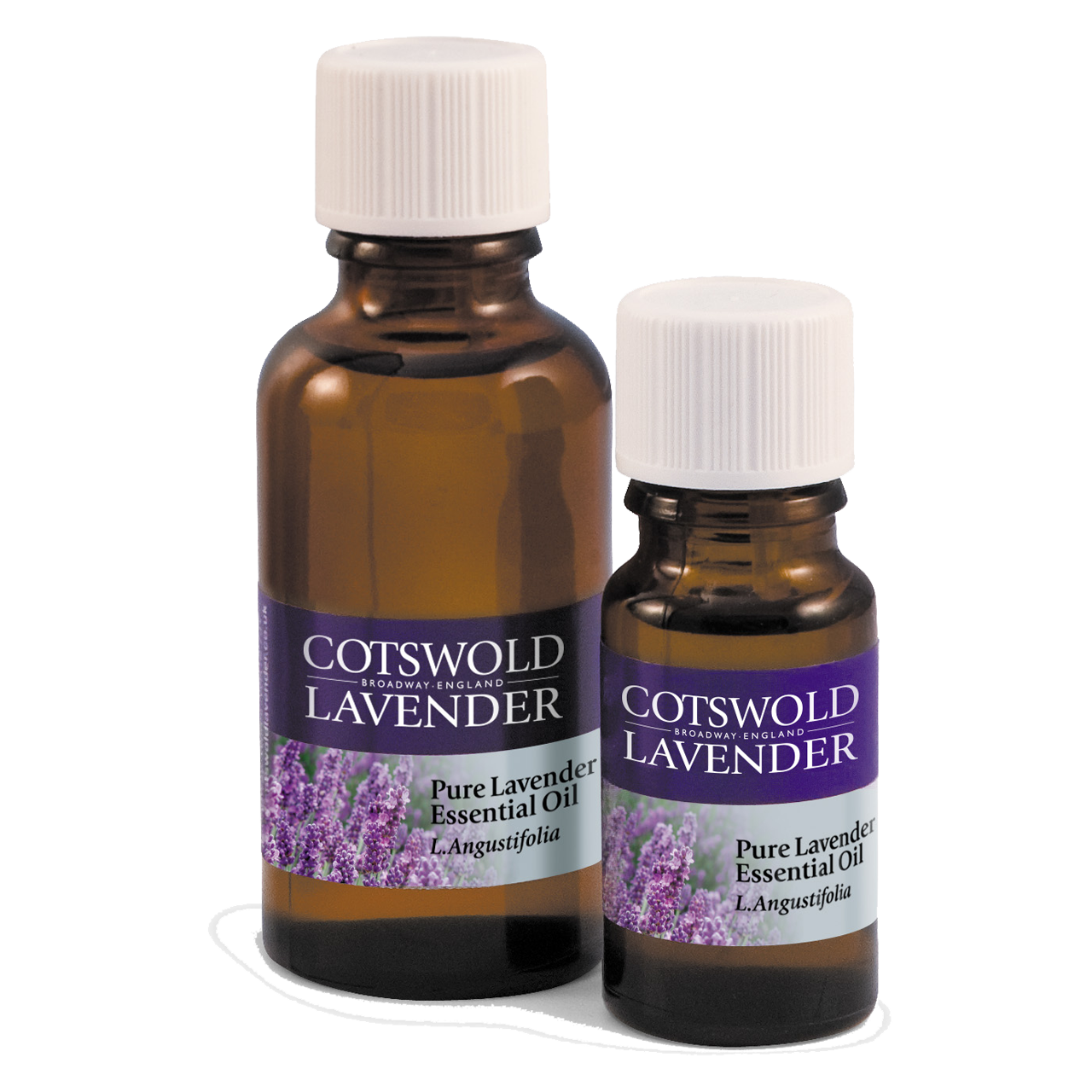 Oils & Grains Cotswold Lavender