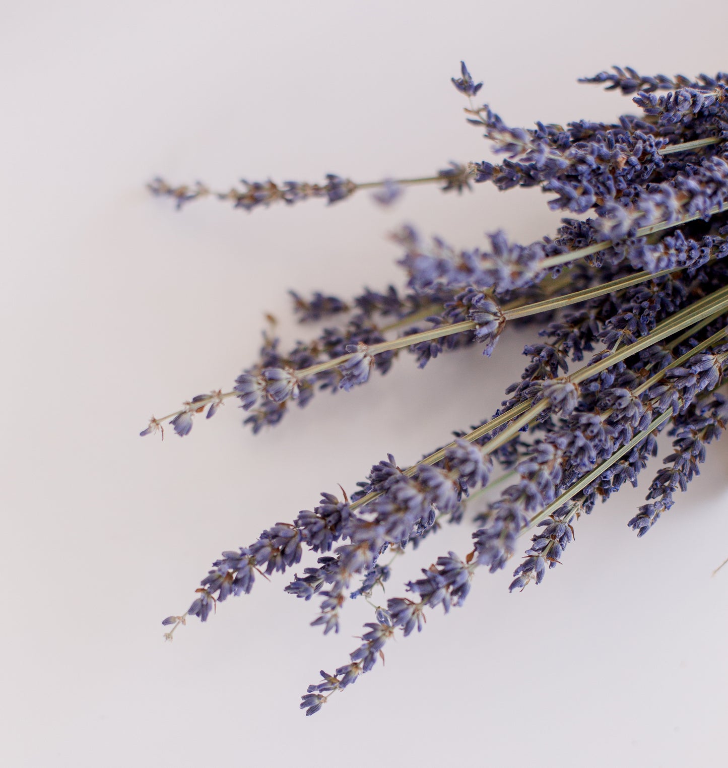 Cotswold Lavender Online Gift Voucher