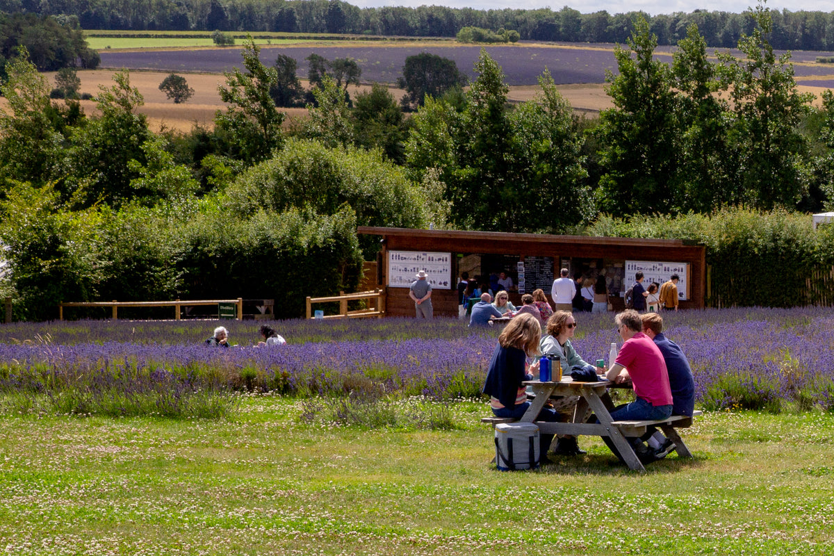 Cotswold Lavender Cabin, farm shop and cafe in Snowshill