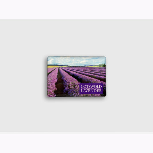 Lavender Fields Fridge Magnet