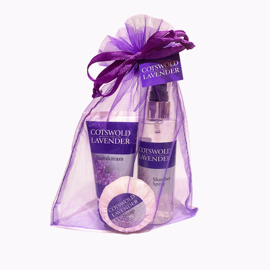 The Essentials Gift Set