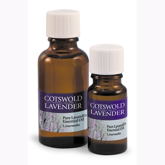 Lavender Intermedia Oil