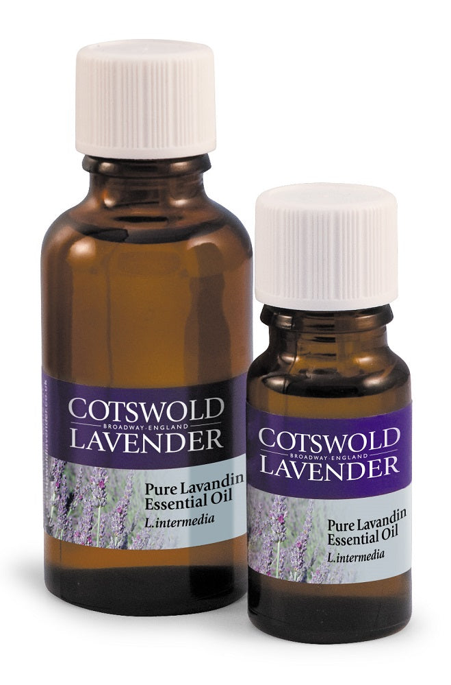 Lavender Intermedia Oil