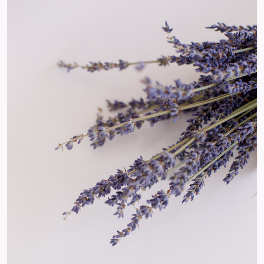 Cotswold Lavender Online Gift Card