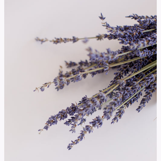 Cotswold Lavender Online Gift Voucher